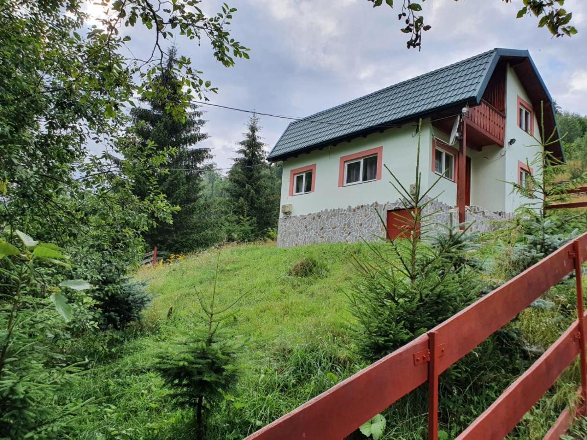 Casa Dor De Ea Villa Dîmbovicioara Exteriör bild