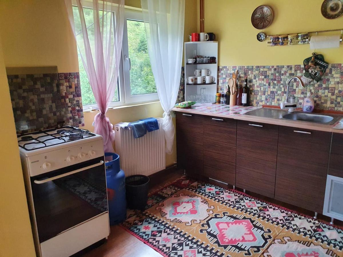 Casa Dor De Ea Villa Dîmbovicioara Exteriör bild