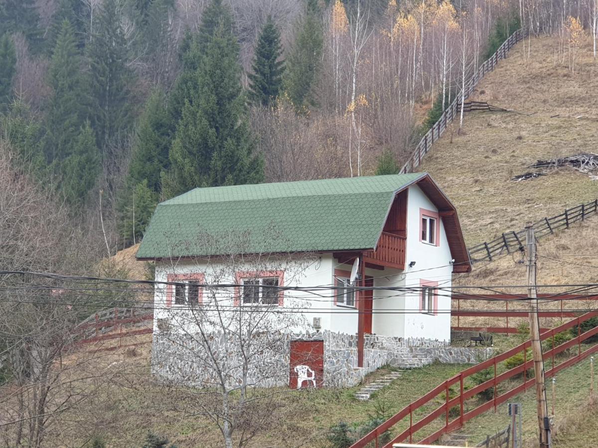 Casa Dor De Ea Villa Dîmbovicioara Exteriör bild